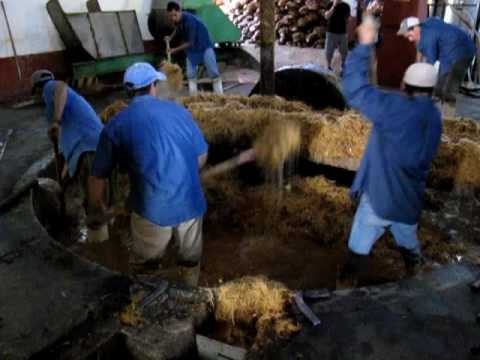 TEQUILA.net ~ La Fortaleza Tequila Tahona Extraction