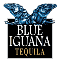 Blue Iguana